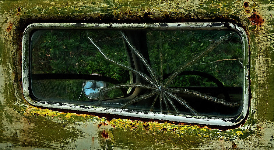 Spider Window Photograph by Murray Bloom