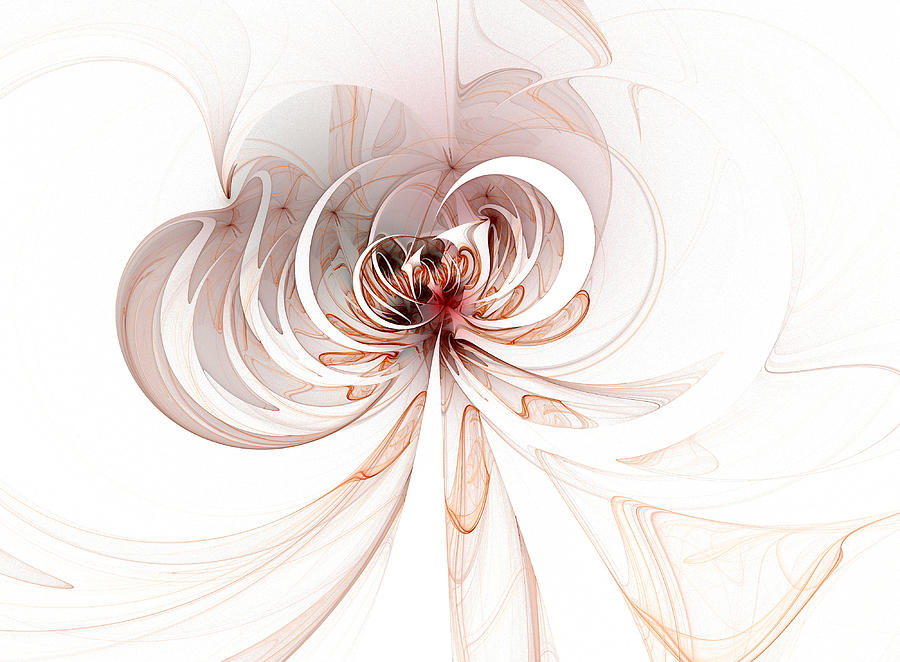 Spiderlily Digital Art by Amanda Moore