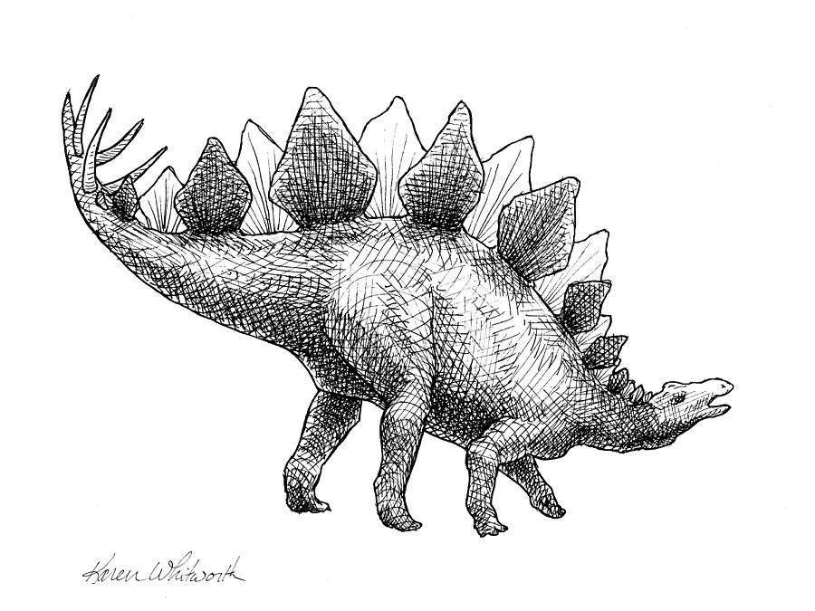 Jurassic Park Drawing - Stegosaurus - Dinosaur Decor - Black and White Dino Drawing by K Whitworth