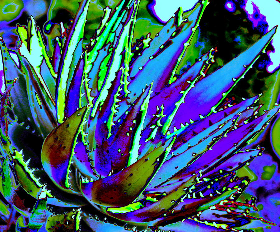 Spiked Aloe Blue Photograph by M Diane Bonaparte