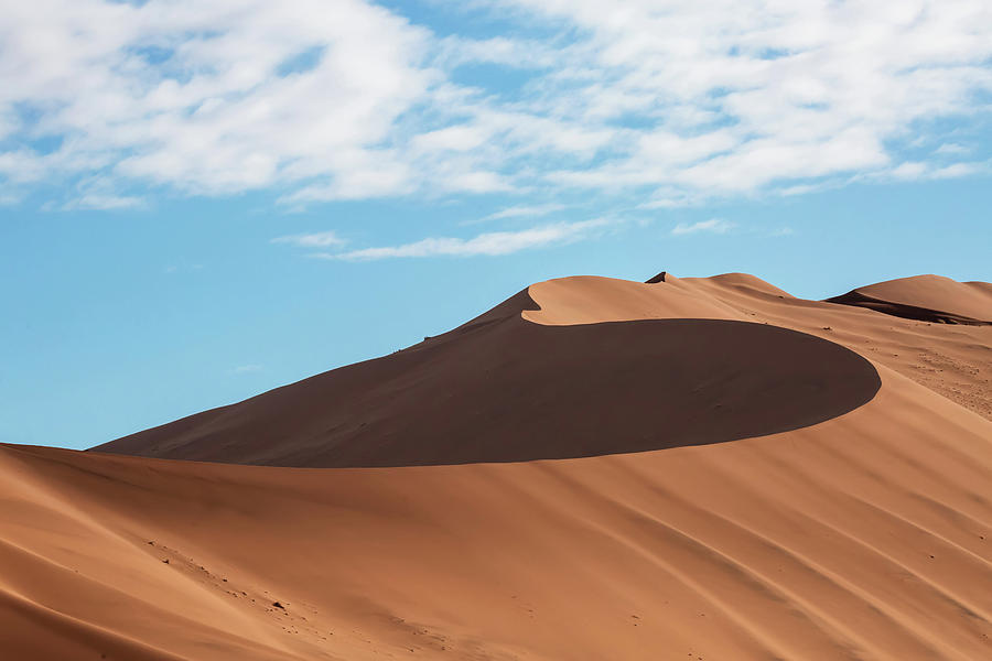 Dunes Photograph - Spine Of The Desert by Matt Cohen Dunes Photograph - Spine Of The Desert by Matt Cohen