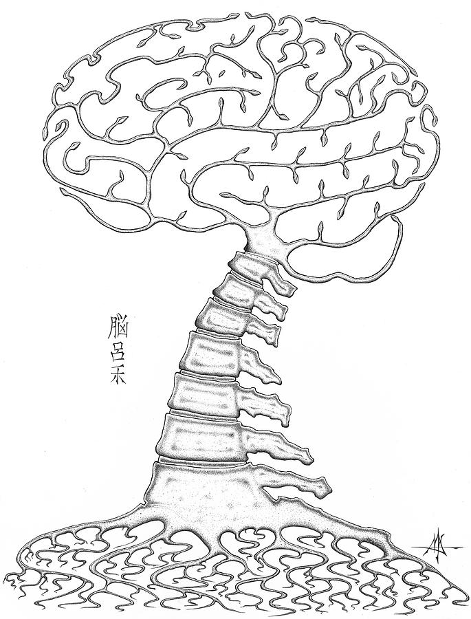 Brain Drawing - Spine Tree by Robert Fenwick May Jr Brain Drawing - Spine Tree by Robert Fenwick May Jr