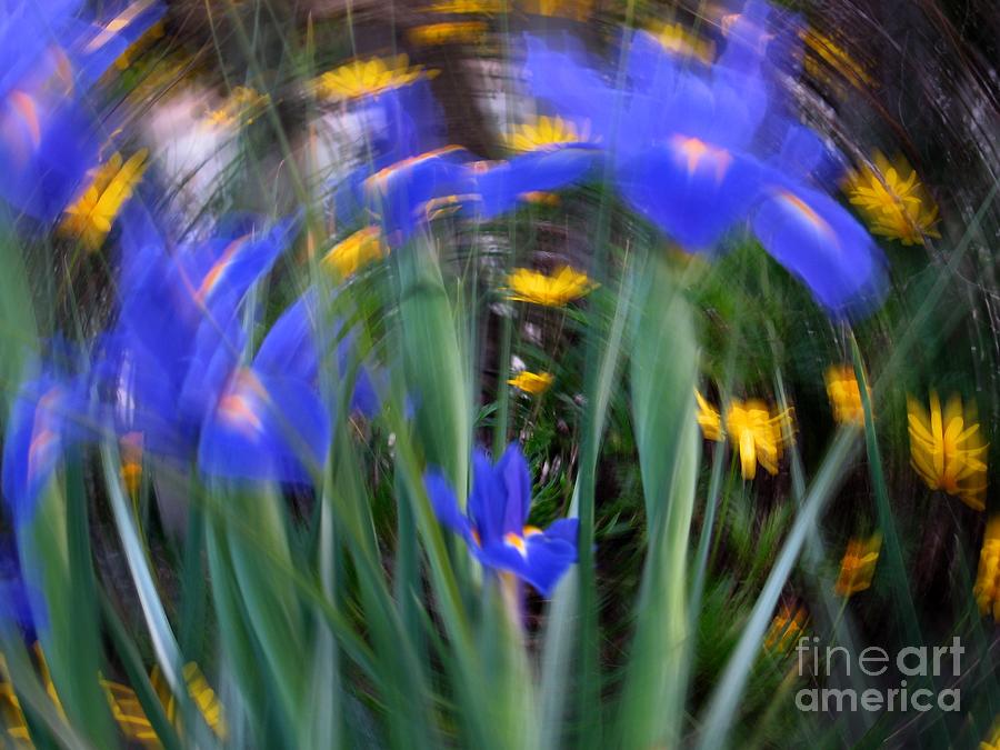 Spinning Iris Photograph by James B Toy