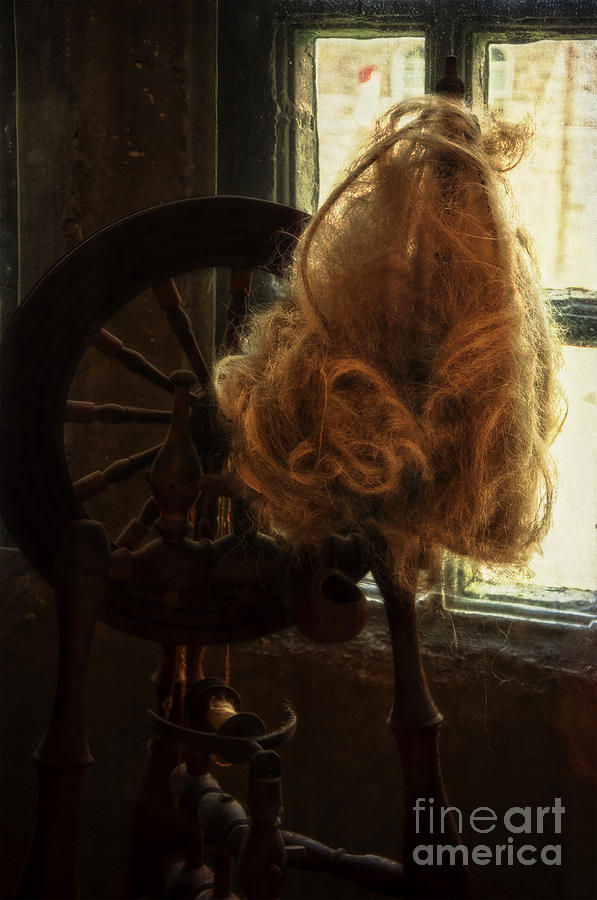 Spinning Wheel Photograph by Debra Fedchin