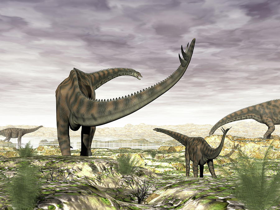 spinophorosaurus