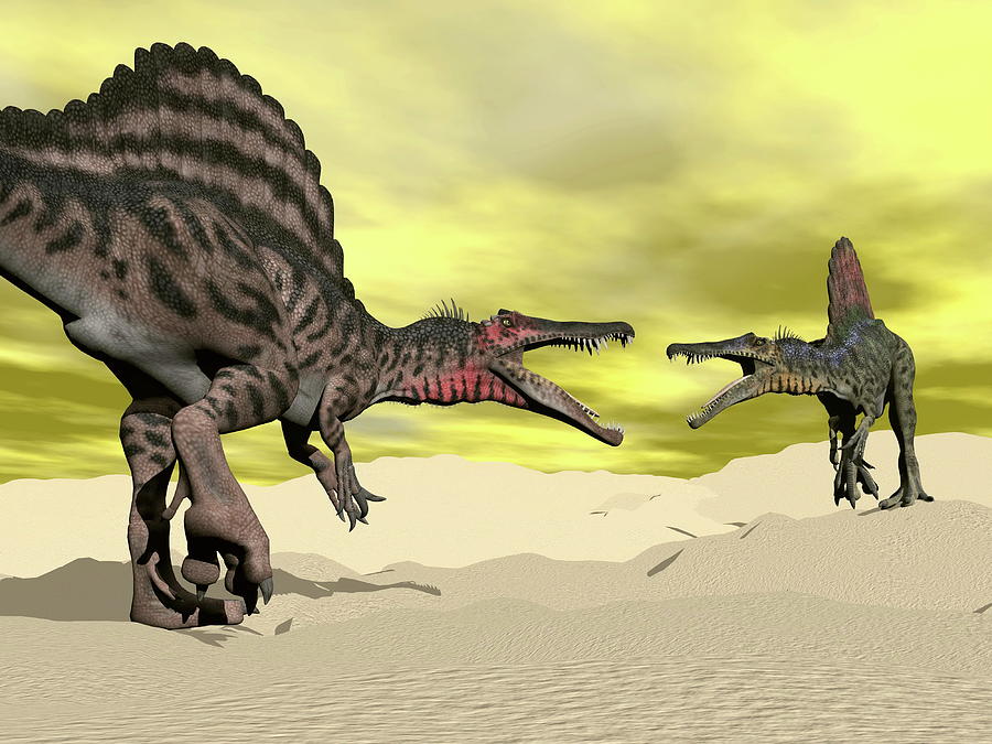 Prehistoric Digital Art - Spinosaurus dinosaur fighting - 3D render by Elenarts - Elena Duvernay Digital Art