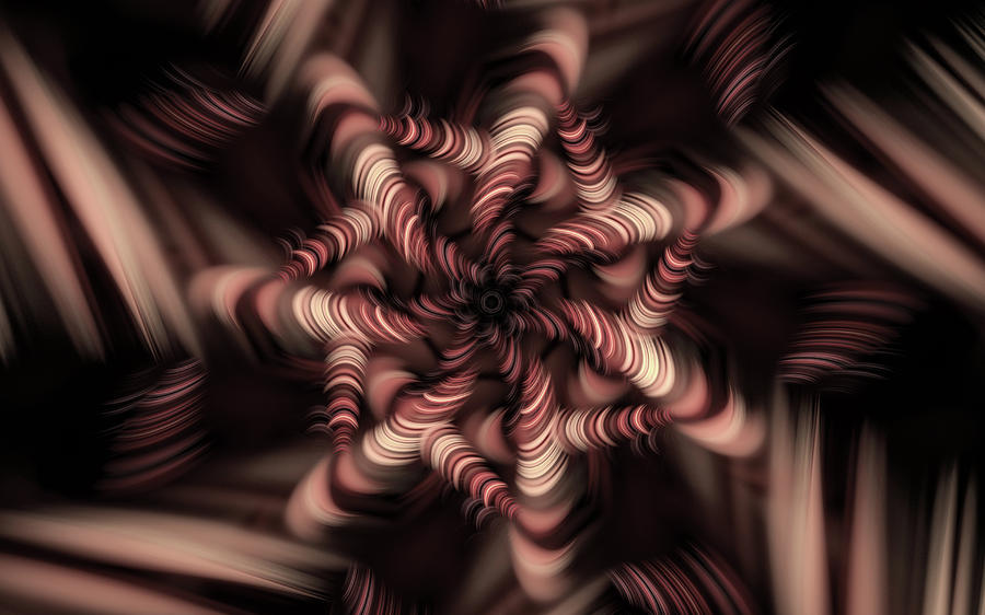 Spinwheel Digital Art by Gary Blackman