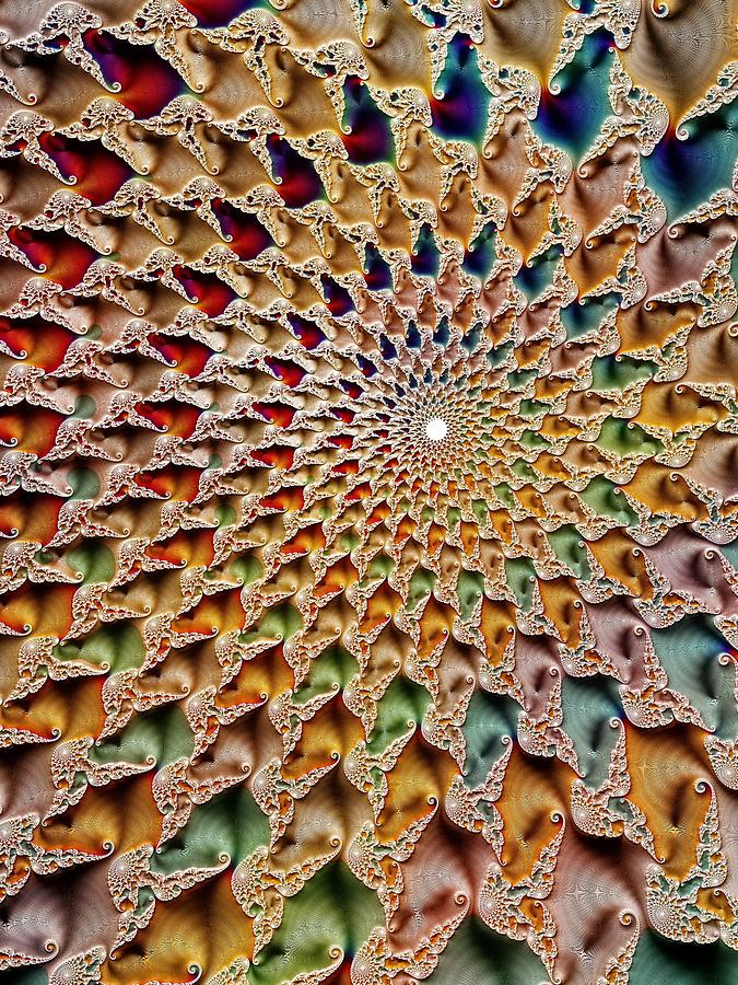 Spiral Bloom Digital Art by Amanda Moore