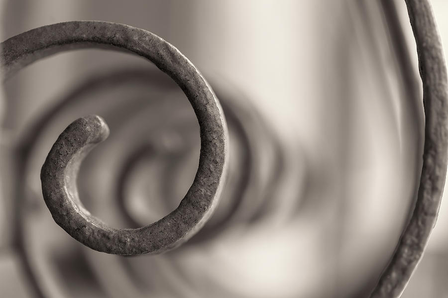 Spiral Frame sepia Photograph by Jonathan Nguyen