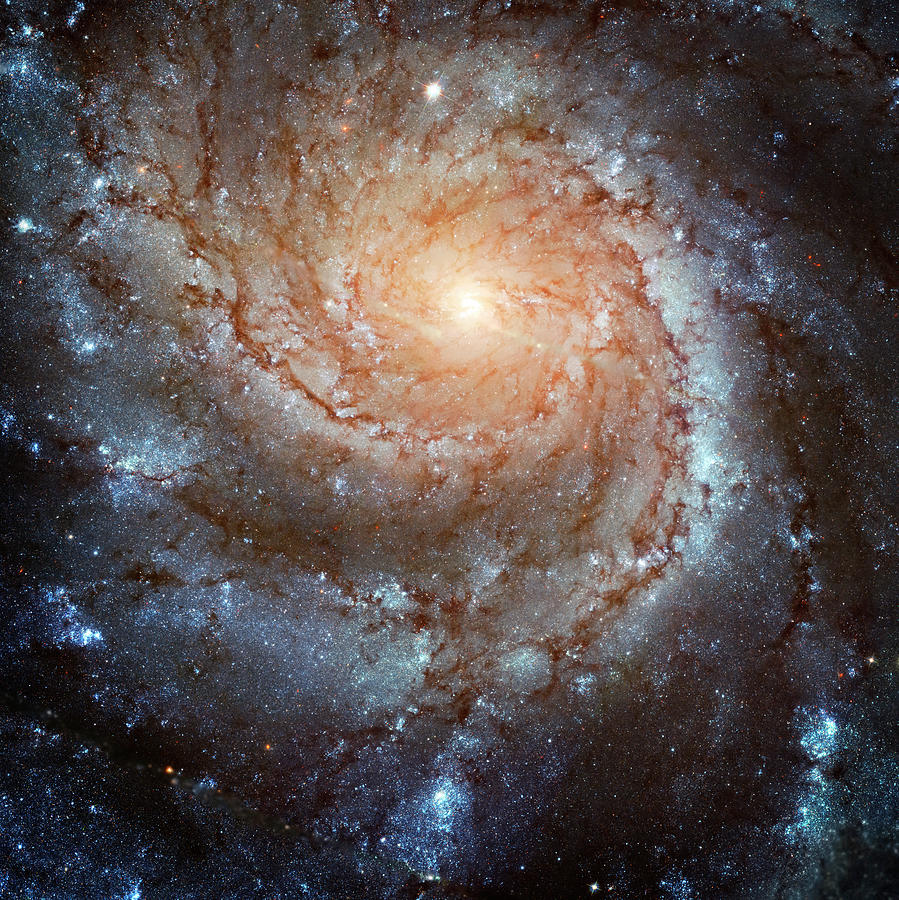 Spiral Galaxy M101 Photograph by Ricky Barnard
