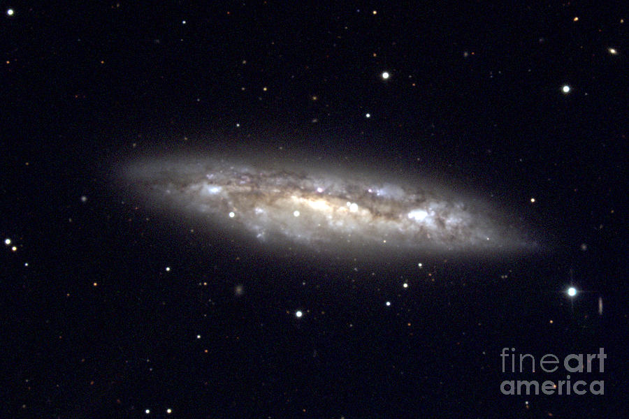 Spiral Galaxy, M108, Ngc 3556 Photograph by Noao/aura/nsf