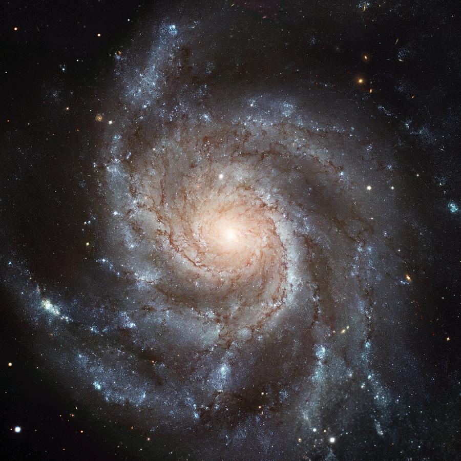 Spiral Galaxy - Messier 77 Photograph