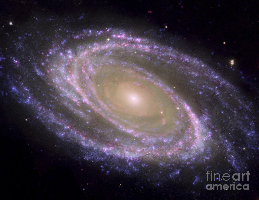 Spiral Galaxy Messier 81 Photograph by Stocktrek Images