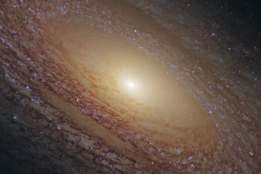 Spiral Galaxy NGC 2841 2 Painting by Celestial Images