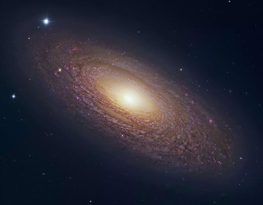 Spiral Galaxy NGC 2841 4 Painting by Celestial Images