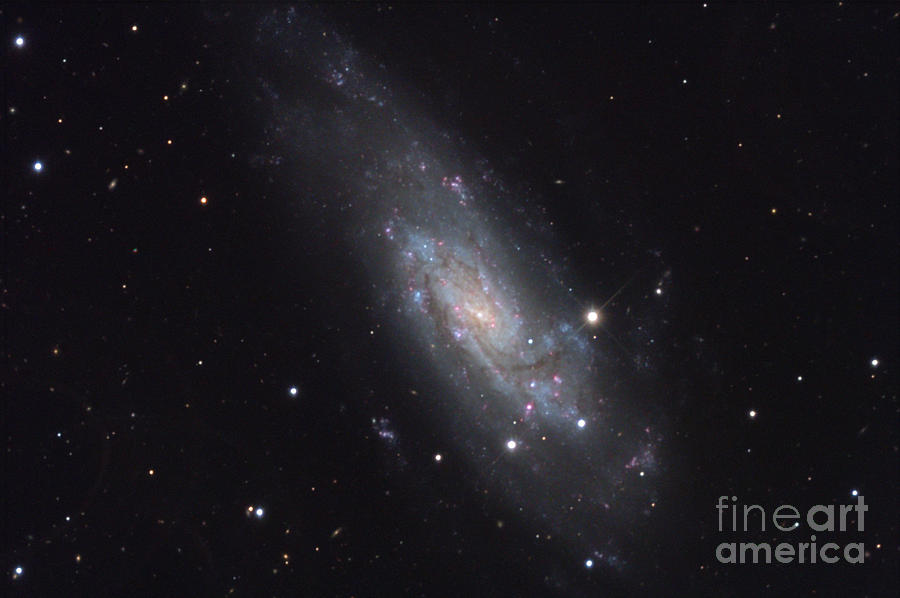 Spiral Galaxy, Ngc 4559, Caldwell 36 Photograph by Noao/aura/nsf