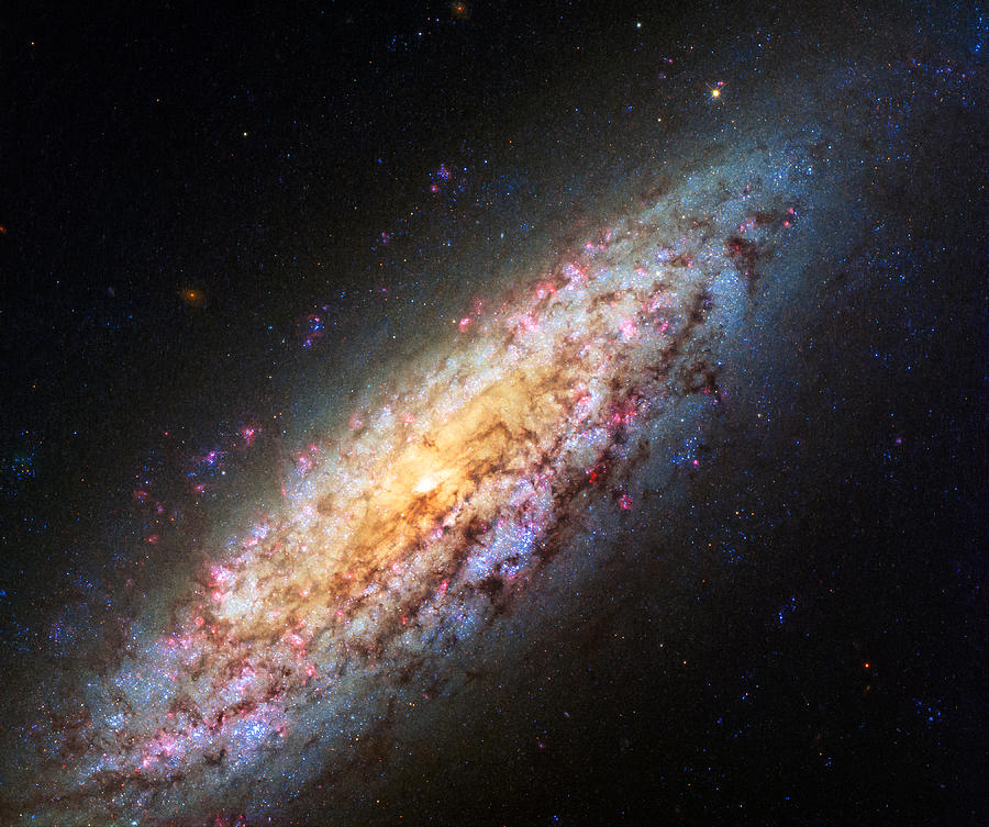 Spiral Galaxy NGC 6503 Photograph by Marco Oliveira