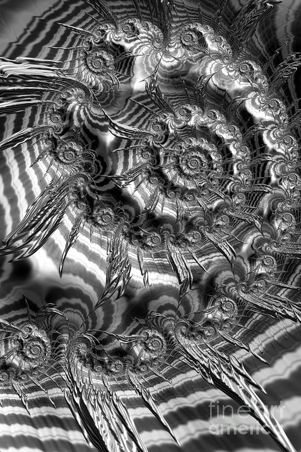 Spiral In Black And White Digital Art by Steve Purnell