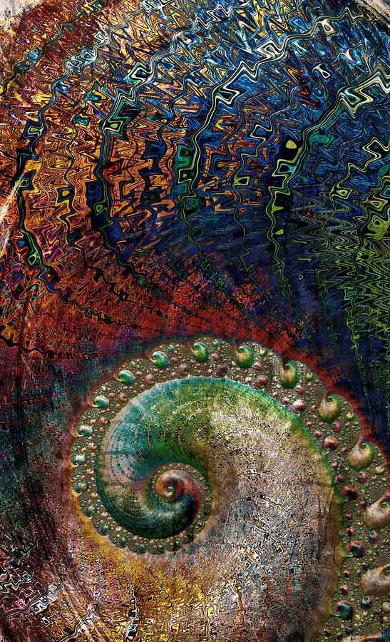 Spiral Journey Digital Art by Amanda Moore