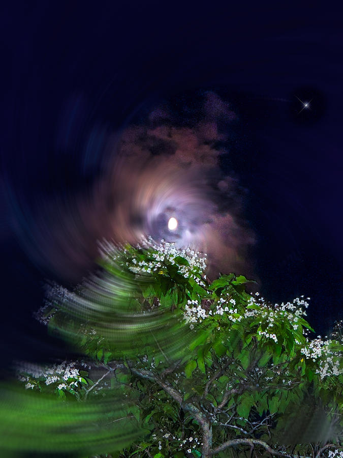 Spiral Lilac Moon Photograph by Glenn Feron