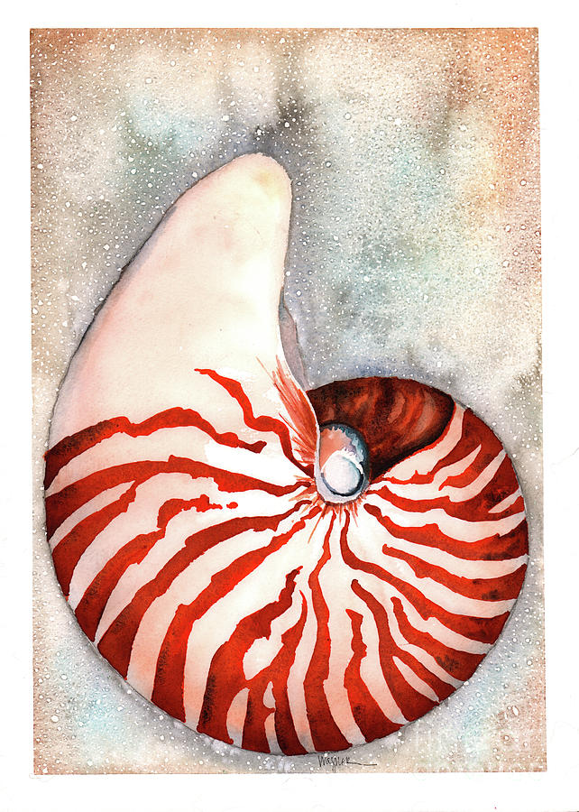 Spiral Nautilus Painting by Hilda Wagner
