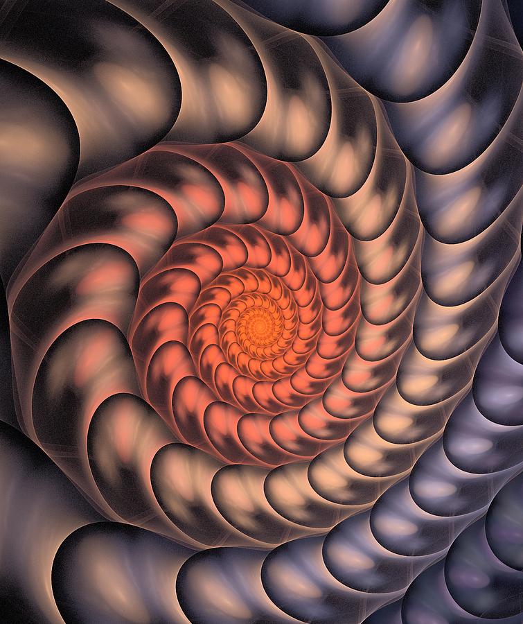 Shell Digital Art - Spiral Shell by Anastasiya Malakhova