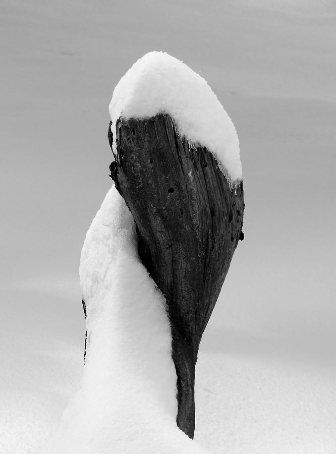 Spiral Snow Photograph
