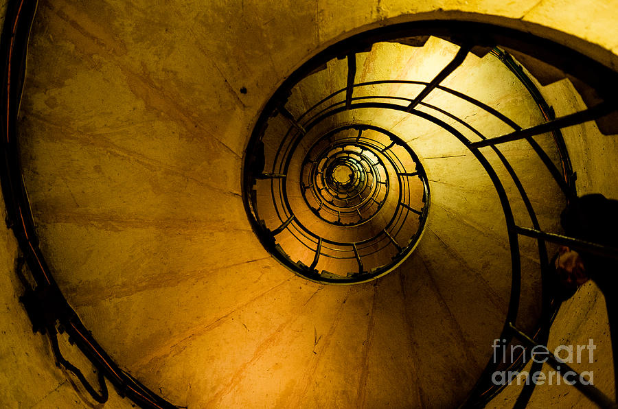 Spiral Staircase Photograph by M G Whittingham