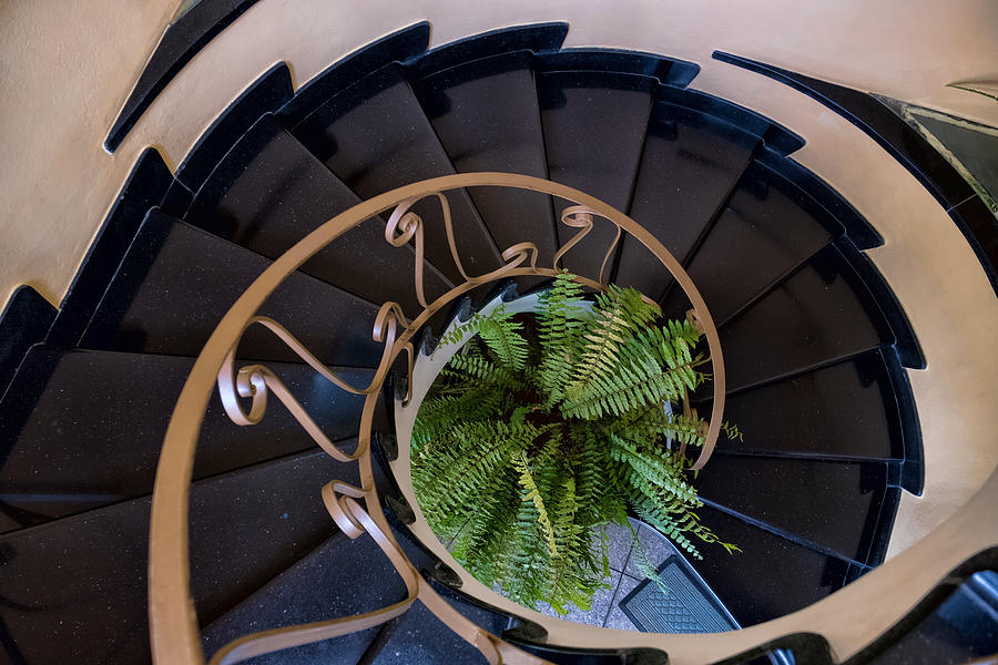 Spiral Staircase Photograph by Roberta Kayne
