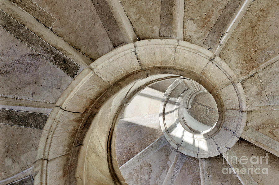 Spiral Stairway Photograph by Carlos Caetano