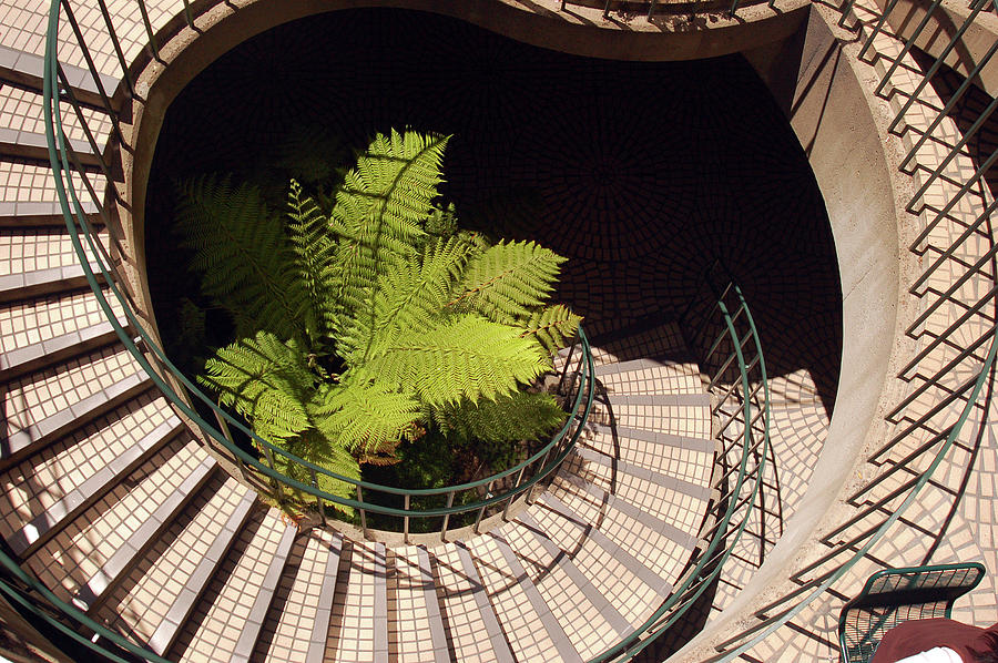Spiral Stairway Photograph by James Kirkikis