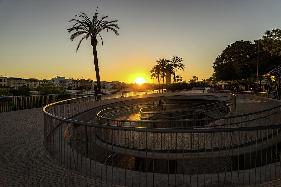 Spiral Sunset with Palms Photograph by Georgia Mizuleva