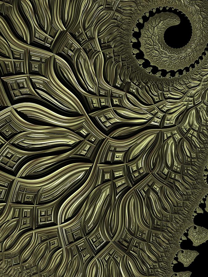 Spiral Weave Digital Art by Amanda Moore