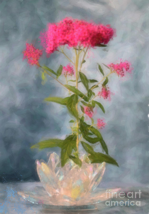Spirea in Crystal Photograph by Betty LaRue