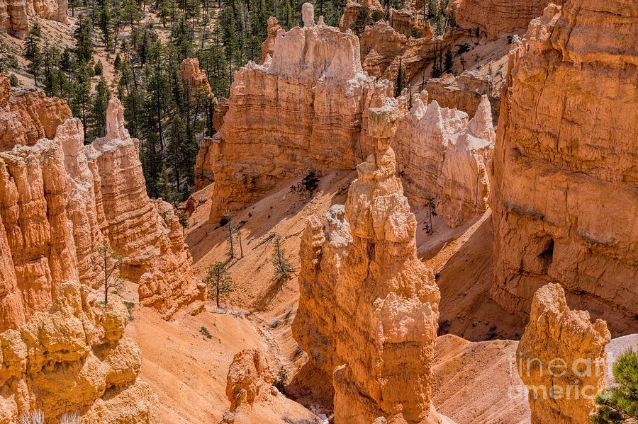 Nature Photograph - Spires and Hoodoos by Peggy Hughes