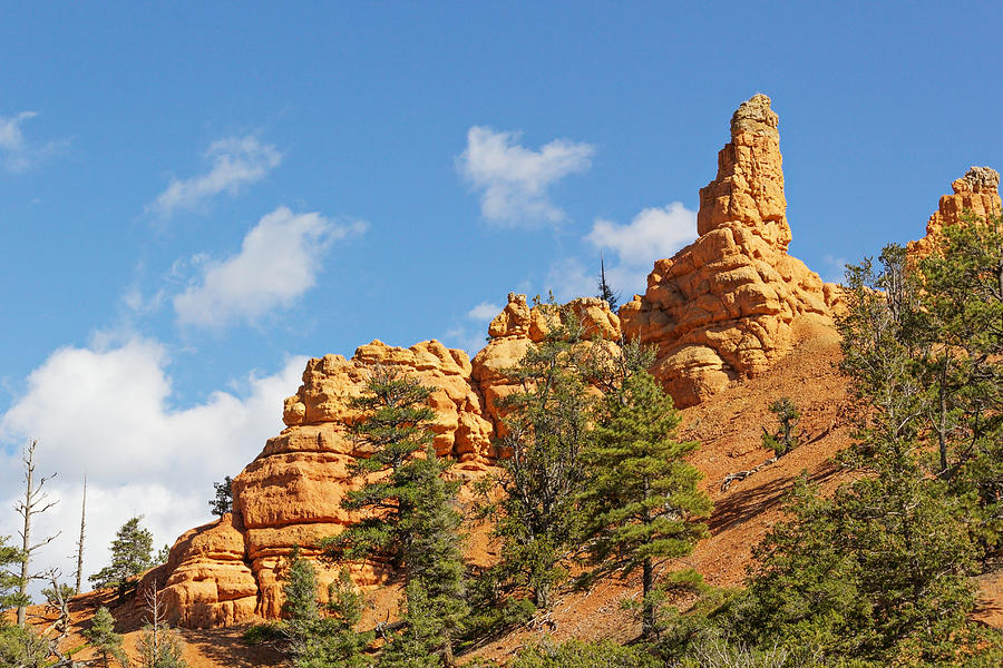 Spires Casto Canyon Photograph by Peter J Sucy