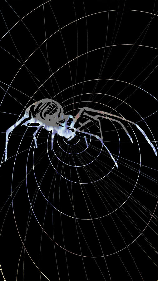 Spirit Animal . Spider Painting by John Gholson
