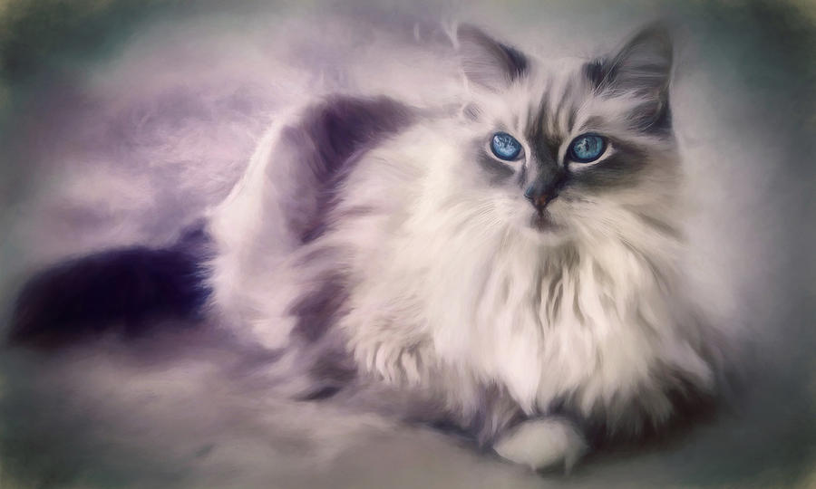 Spirit Cat 3 - Painting Digital Art by Darlene Kwiatkowski