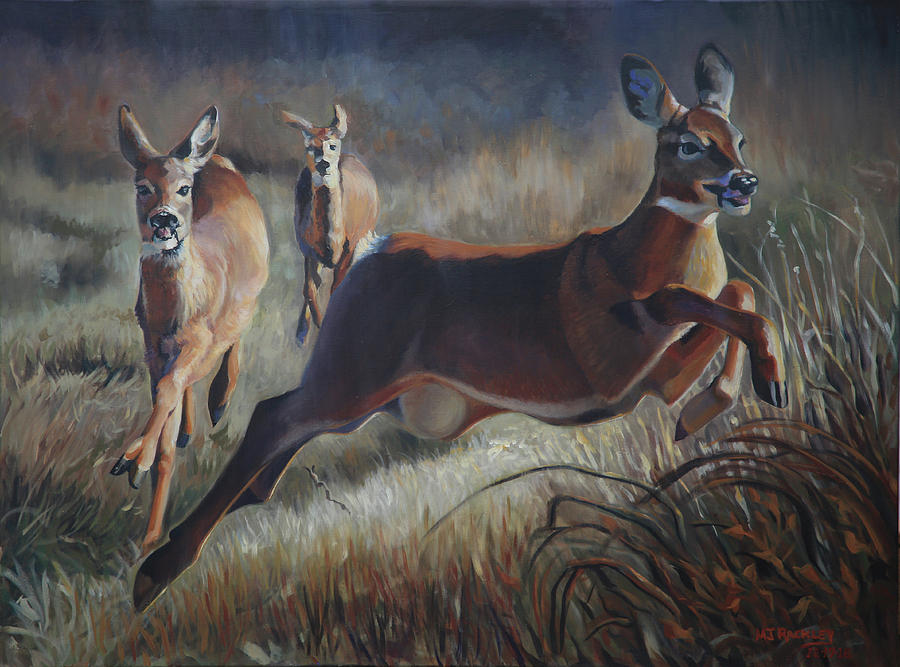 running deer painting