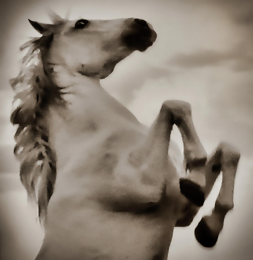 Spirit Horse II Photograph by Athena Mckinzie