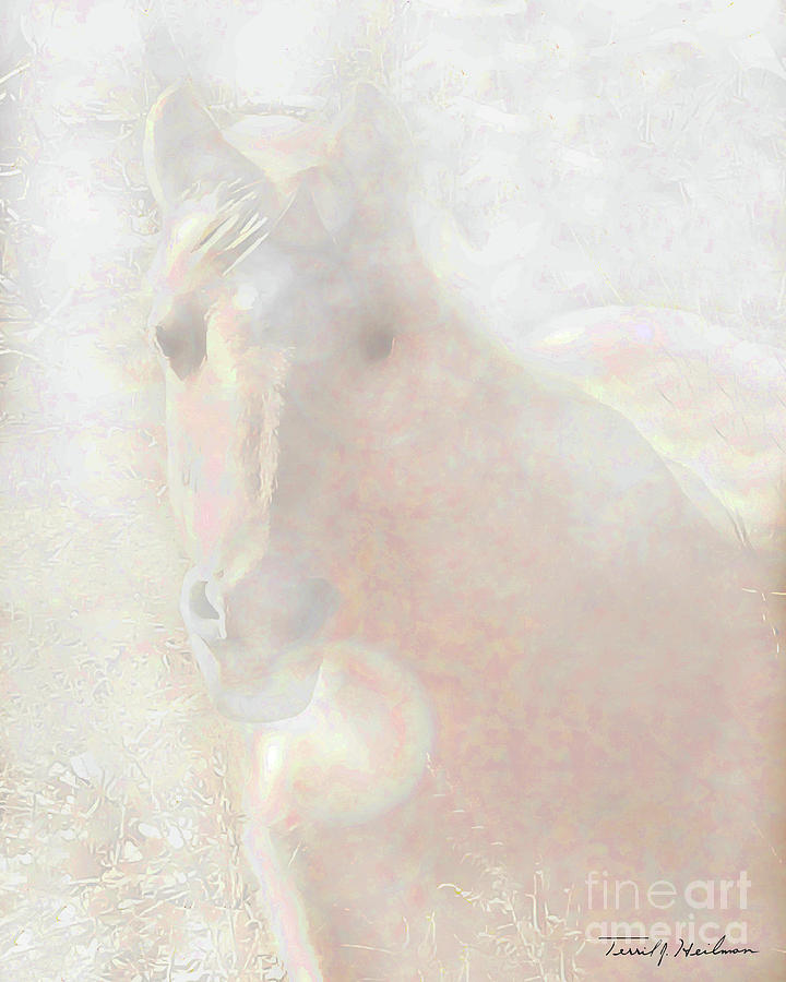 Spirit Horse Digital Art by Terril Heilman