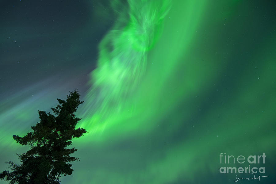Spirit in the Sky Aurora Borealis  Photograph by Joanne West