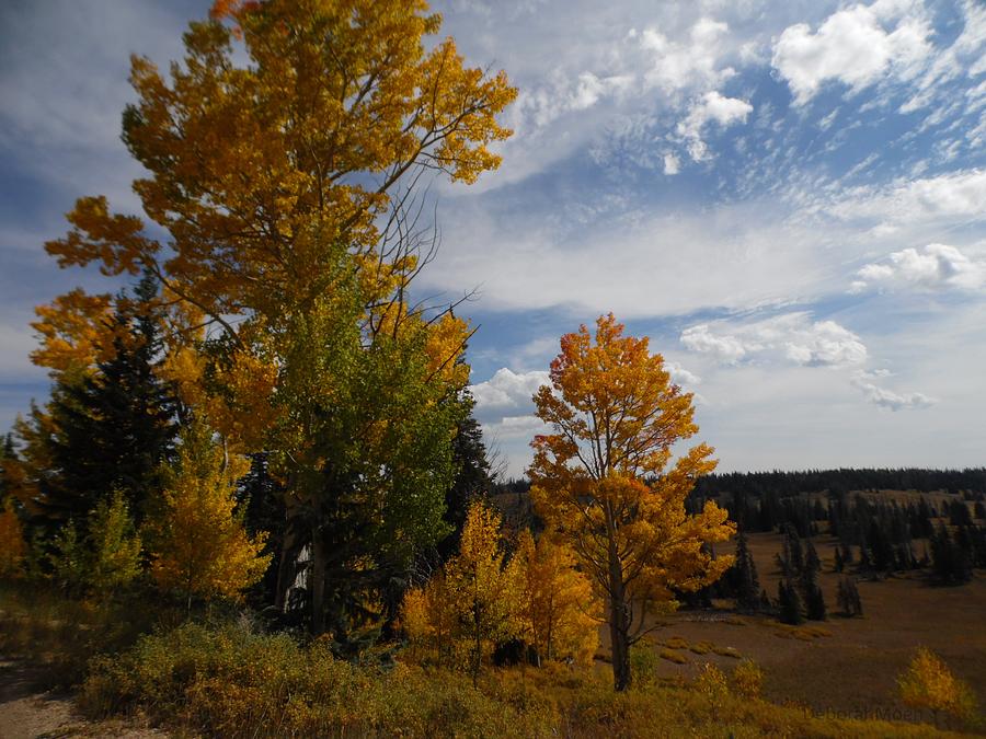 Tree Photograph - Spirit Of Autumn Dixie National Forest, Utah by Deborah Moen