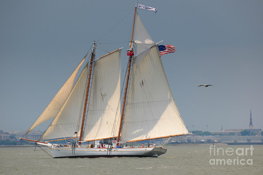 Spirit of South Carolina Sailing in Charleston Harbor Photograph by Dale Powell