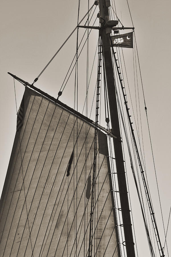 Black And White Photograph - Spirit of South Carolina Schooner Sailboat Sail by Dustin K Ryan