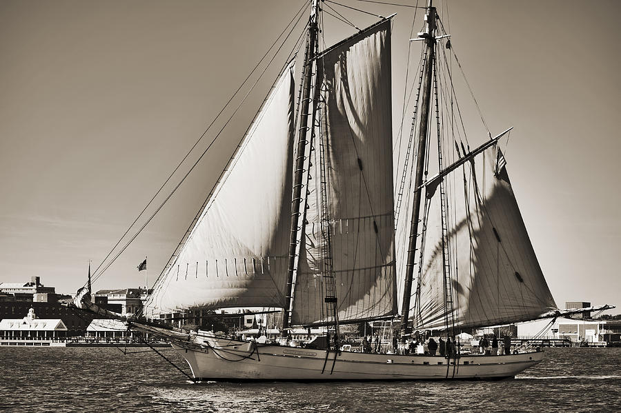 Spirit of South Carolina Schooner Sailboat Sepia Toned Photograph by Dustin K Ryan