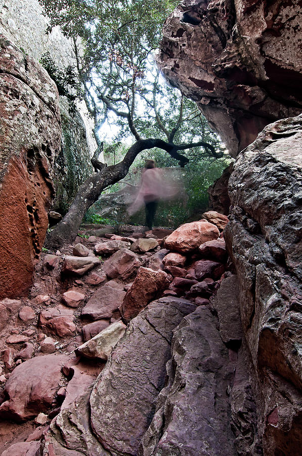 Spirit of stone path by pedro cardona Photograph by Pedro Cardona Llambias