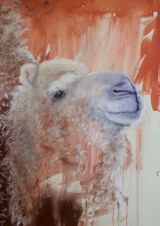 Spirit Of The Camel Painting