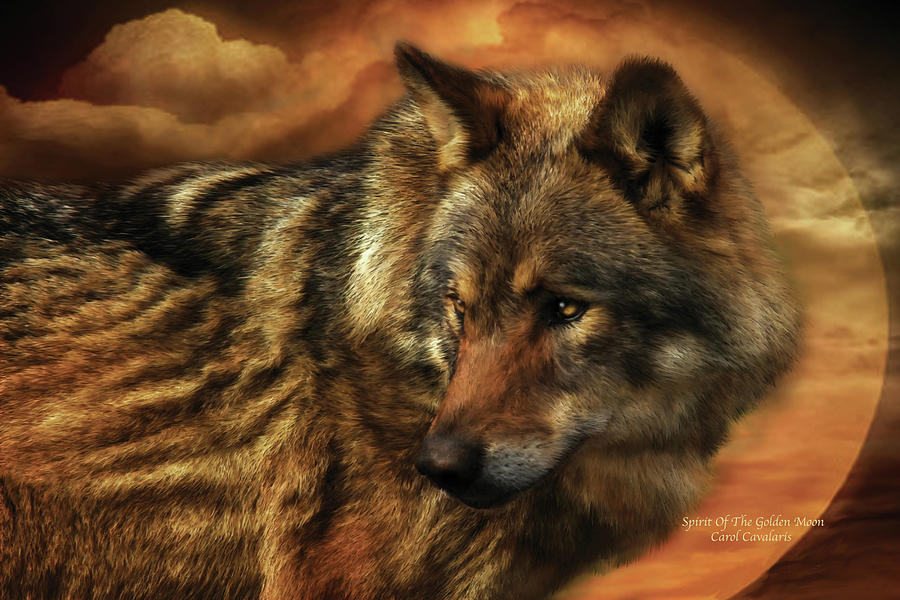 Wolves Mixed Media - Spirit Of The Golden Moon by Carol Cavalaris