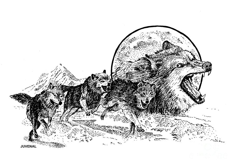Mug Drawing - Spirit of the Singing Wolves by Joseph Juvenal